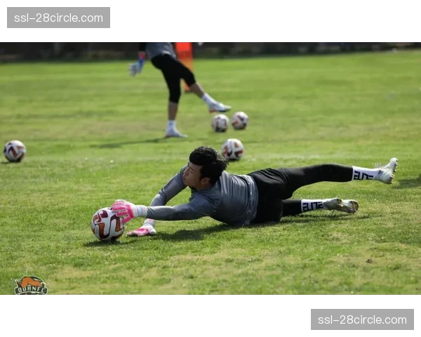 青岛海牛斯特兰德贝里叶博亚进攻搭档 外援组合技术特点互补